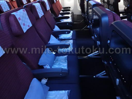 JAL国際線 エコノミークラス 新間隔シート 上から