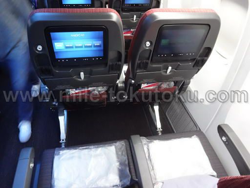 JAL国際線 エコノミークラス 新間隔シート 真上から