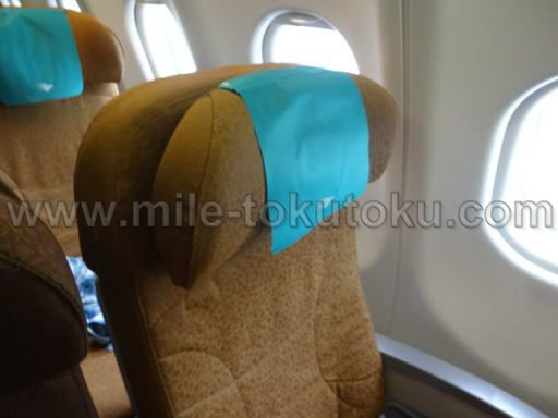 ガルーダインドネシア航空 エコノミークラス ヘッドレスト