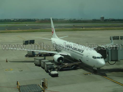 JAL国際線 B737型機