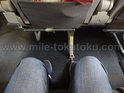 JAL国際線 B737 エコノミークラス 足元・シートピッチ