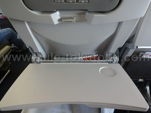 JAL国際線 B737 エコノミークラス テーブル