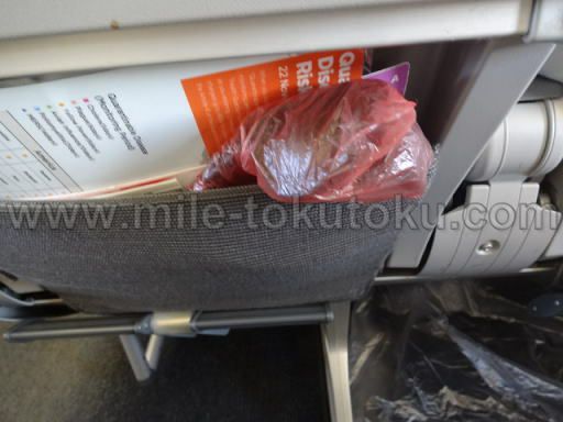 JAL国際線 B737 エコノミークラス 収納ポケット