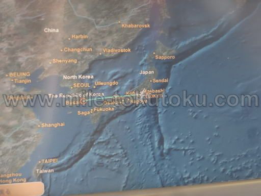 JAL国際線 B737 エコノミークラス フライトマップ