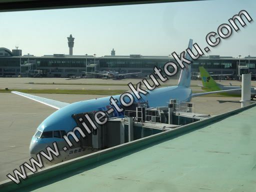 大韓航空 A330型機