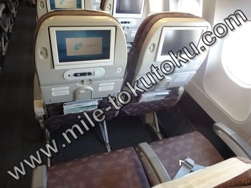 大韓航空 エコノミークラス 上から見た様子