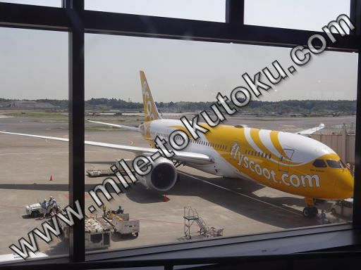 スクート航空 ボーイング787型機