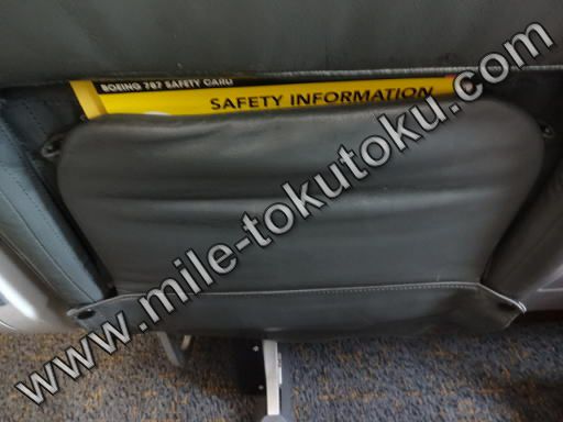 スクート航空 ビジネスクラス シートポケット