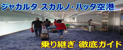 �W���J���^��`�E���p�����|�[�g