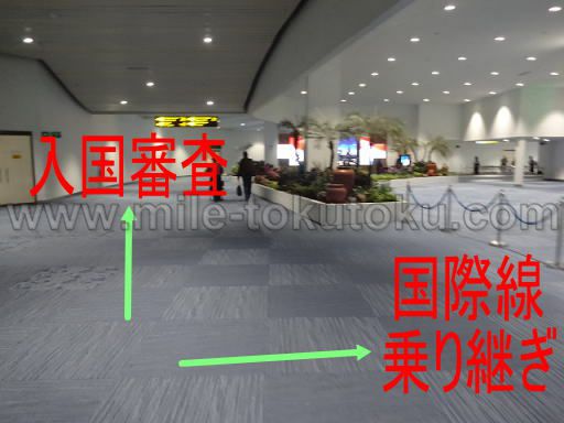 �W���J���^��` ���p�� �����R���ƍ��ې����p���̕���_