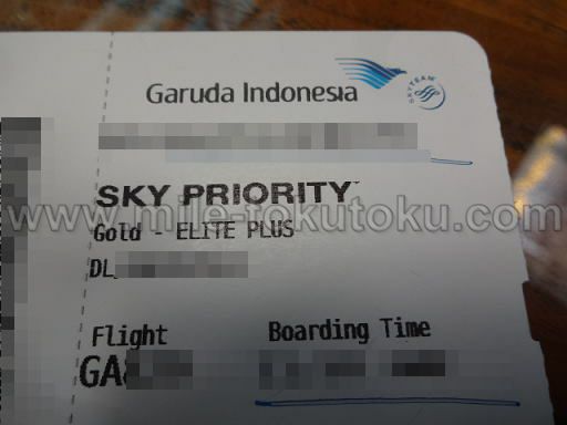 �K���[�_�C���h�l�V�A�q�� SKY PRIORITY�ƈ󎚂��ꂽ���挔