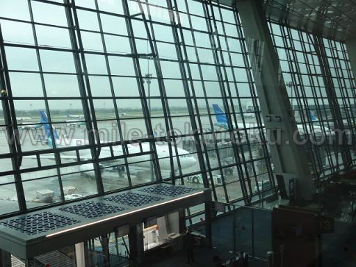 �W���J���^��` ����ł���K���[�_�C���h�l�V�A�q��@