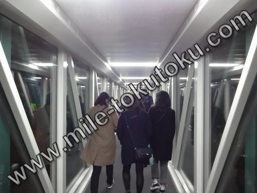 �\�E���m���` ��2�^�[�~�i�� ���p�� �~�@