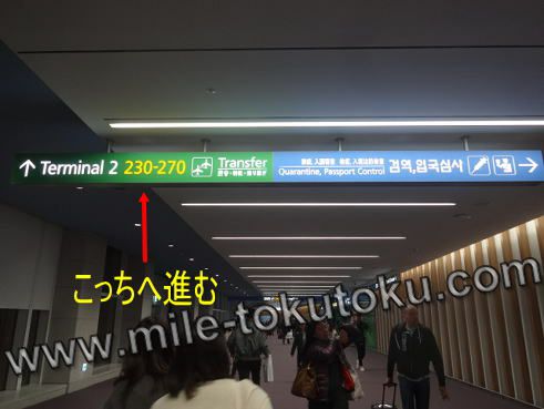 �\�E���m���` ��2�^�[�~�i�� ���p�� ����