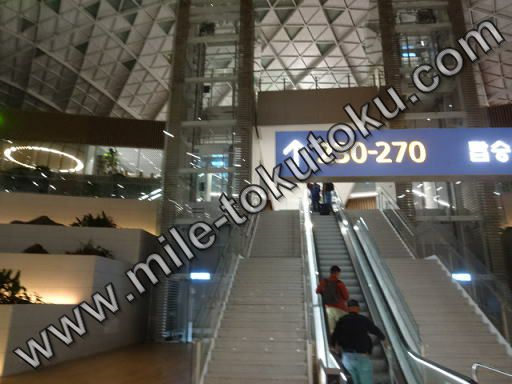 �\�E���m���` ��2�^�[�~�i�� ���p�� �o�����r�[�ւ�����