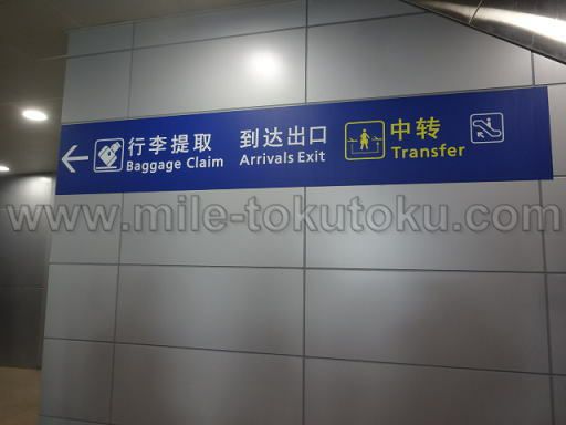 ��C�Y����` ���p�� Transfer������