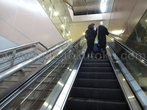 ��C�Y����` ���p�� �P��̊K��