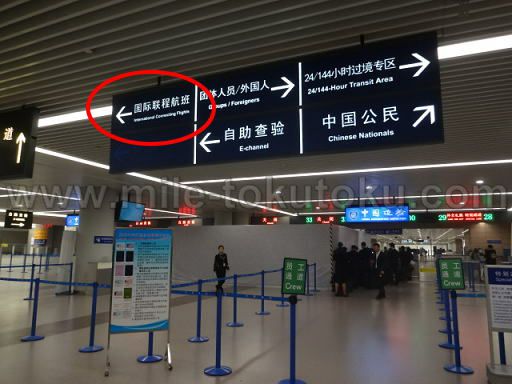 ��C�Y����` ���p�� �����R���Ƃ̕����ꓹ