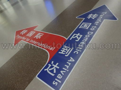 ��C�Y����` ���p�� �Ԃ���������