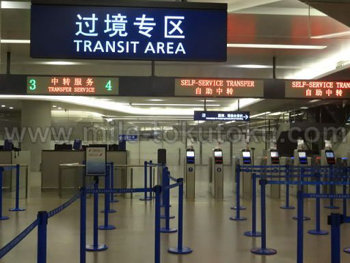 ��C�Y����` ���p�� �g�����W�b�g�G���A