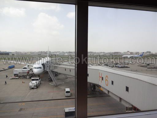 福岡空港 JALサクララウンジ 窓の景色