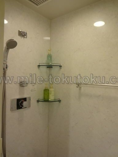 羽田空港 国際線 TIATラウンジ シャワーブース