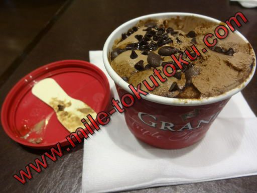 クアラルンプール空港 プラザプレミアムラウンジ チョコレートアイス