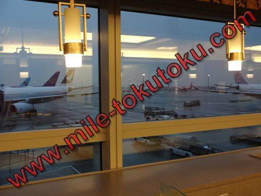 中部国際空港 JALサクララウンジ 外の景色
