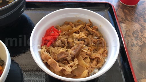 成田 第1 プライオリティパスラウンジNOA 牛丼