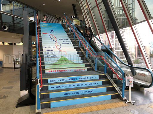 高松空港 ラウンジ讃岐 2階へのエスカレーター