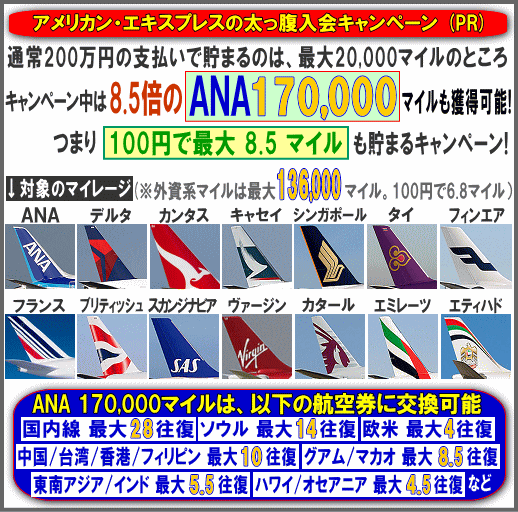 ANA17���}�C��(�O���n136000�}�C��)����L�����y�[��