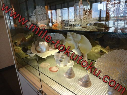 ホノルル空港 ユナイテッド航空ラウンジ ディスプレイ