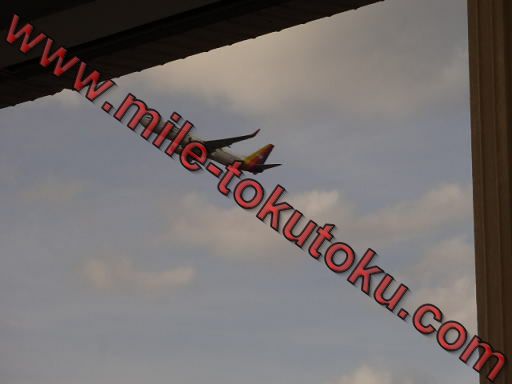 ホノルル空港 ユナイテッド航空ラウンジ 離発着する飛行機