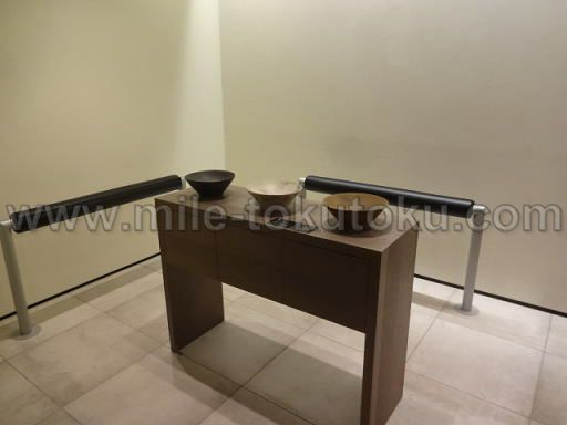 中部国際空港 プレミアムラウンジ・セントレア 喫煙室