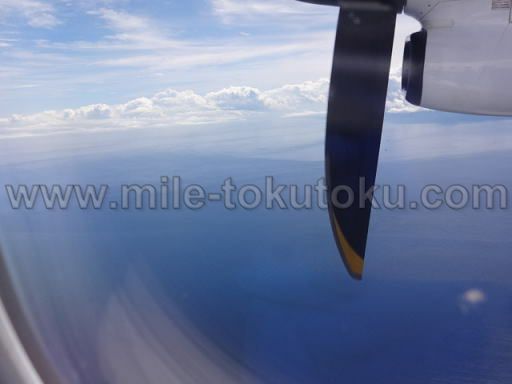ANA プロペラ機 翼は上だから邪魔にならない