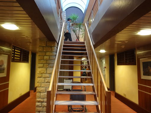 �����L���[���E�����T���~�b�V�F���̓��L��