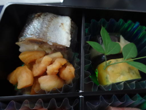 ANA �r�W�l�X�N���X �@���H ������