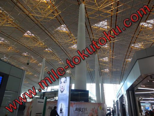 北京空港 ターミナル３E全体