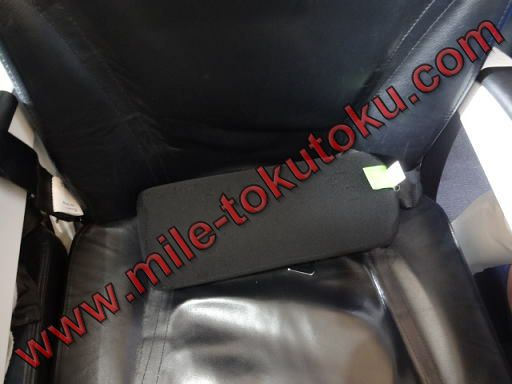 スターフライヤー 腰当てクッション