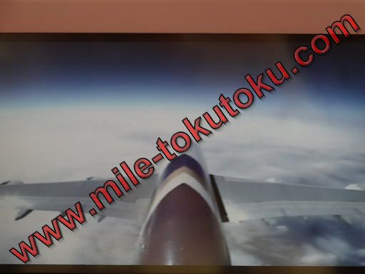 タイ国際航空 ビジネスクラス A380 カメラ映像