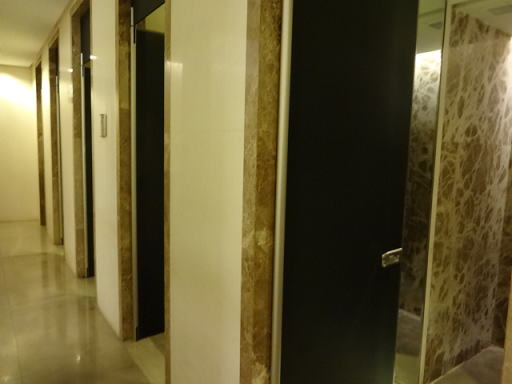 シンガポール空港 シルバークリスラウンジ シャワー入口