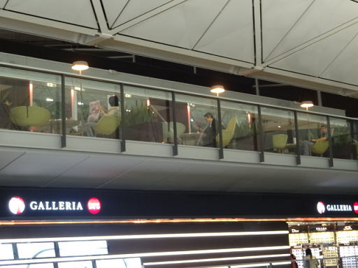 ���`��` ���@�[�W���q�󃉃E���W �V���b�v�̏�ɂ���