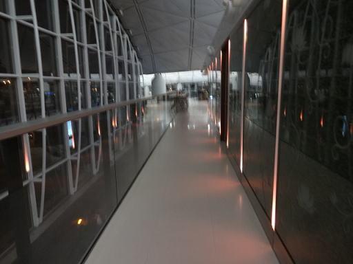 ���`��` ���@�[�W���q�󃉃E���W �L��