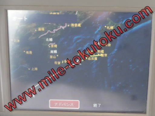 チャイナエアライン A330 エコノミークラス エアショー