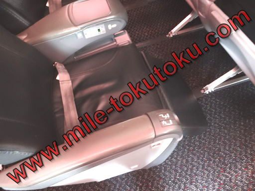 JAL国内線 クラスJ フットレスト