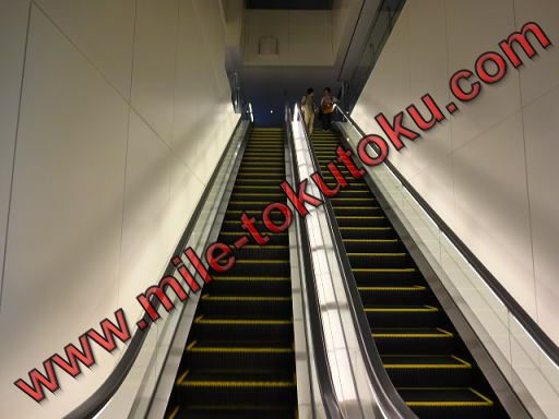 羽田空港 JALサクララウンジ・スカイビュー エスカレーター