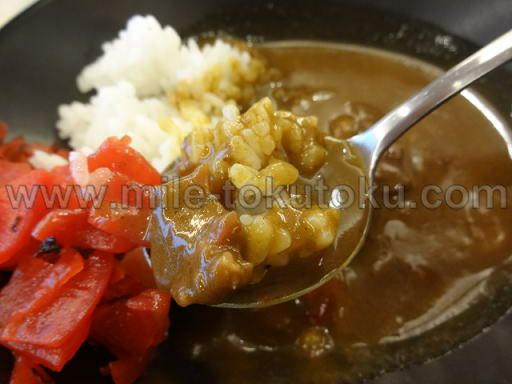 関空・国際線JALサクララウンジ ビーフカレー