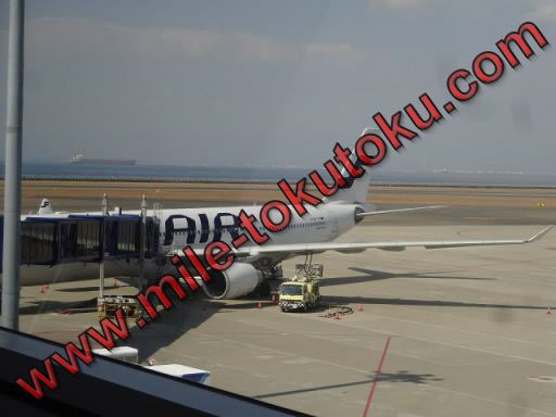 フィンランド航空 A330 ゲートから見た様子