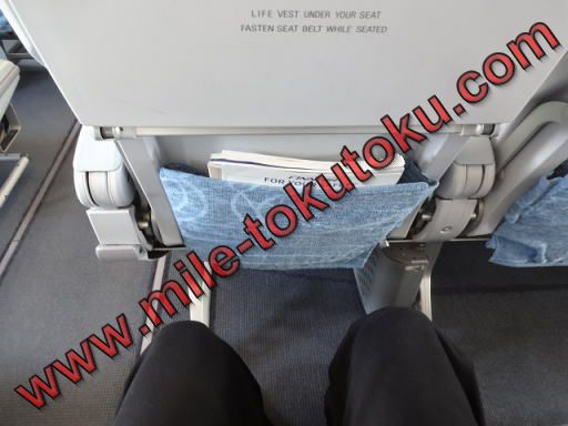 フィンランド航空 A330 エコノミークラス 足元の様子