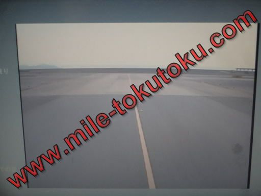 フィンランド航空 A330 エコノミークラス ライブカメラ